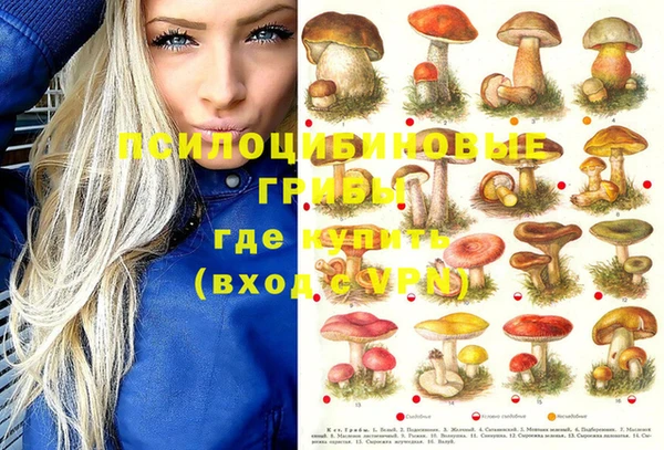 спайс Балабаново