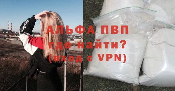 индика Рославль